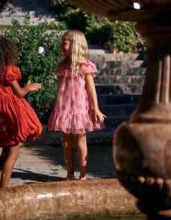 Boden Robes-Robe imprimée en tulle Motif Strawberry Stamp rose vintage